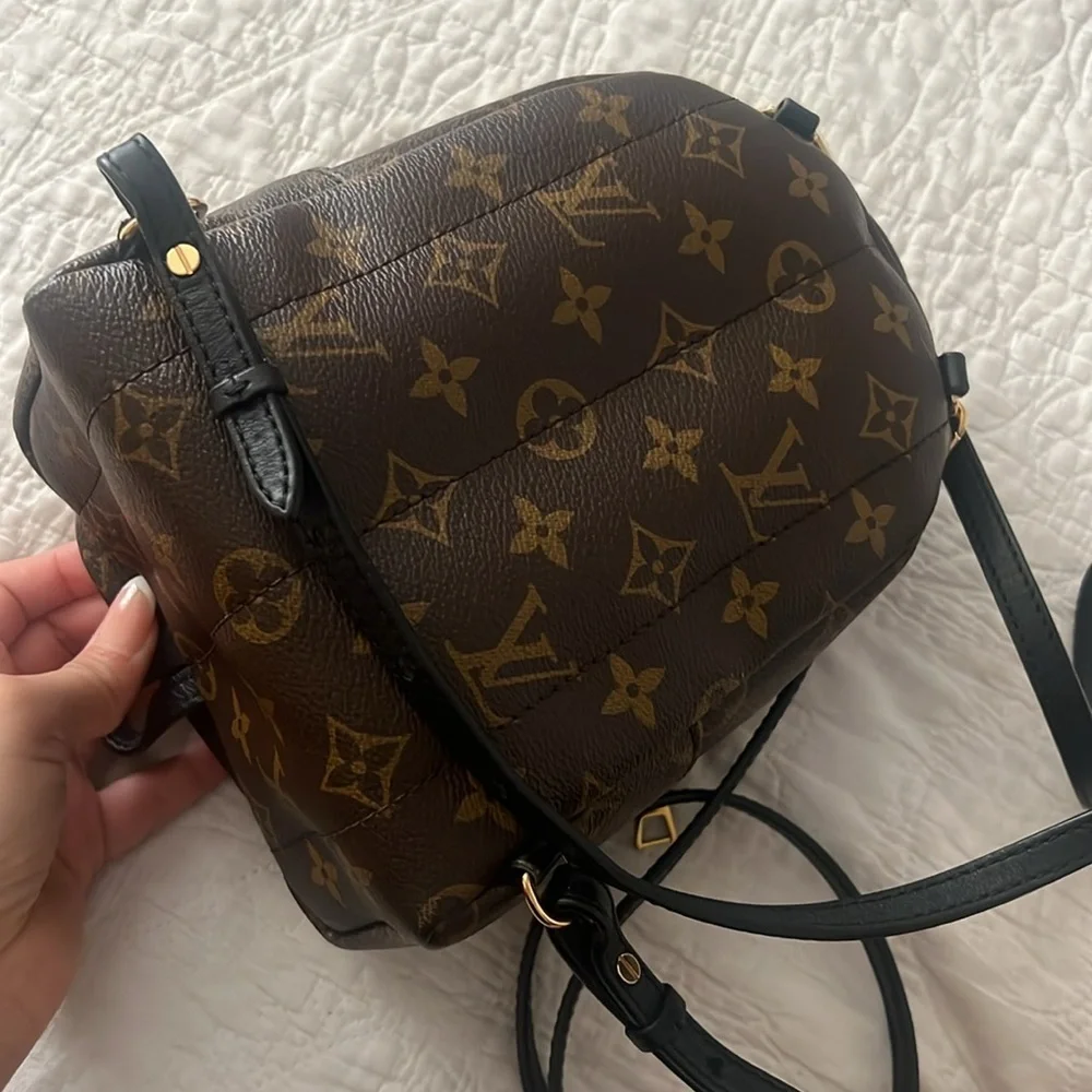 Louis Vuitton Palm Springs Mini